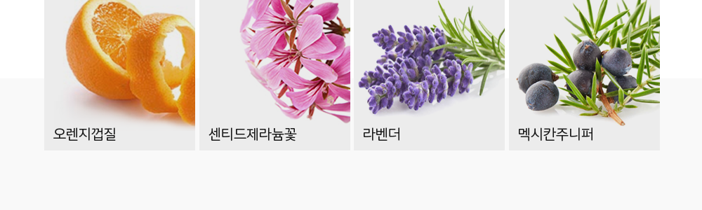 더순해 주요성분 천연 에센셜오일 함유