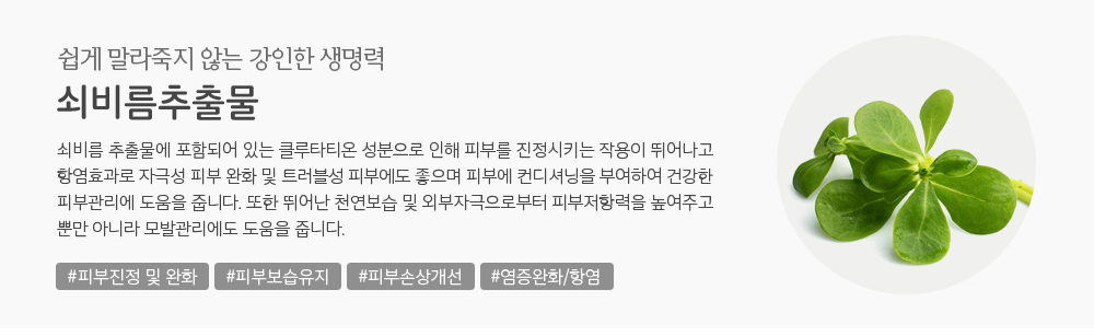 더순해 주요성분 쇠비름추출물